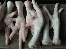 King Fish - Frozen by Njord Seafoods