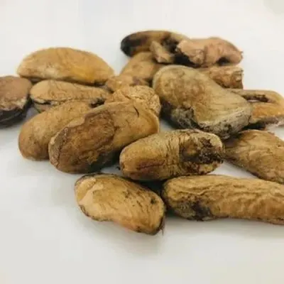 Sesame seeds by Inter Trust Business Ltd