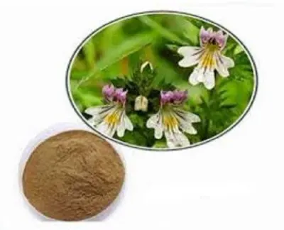 Bacopa Monnieri Extract by Global Merchants