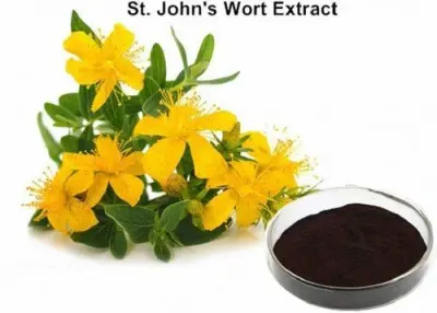 Curcumin Extract by Arizone International Llp