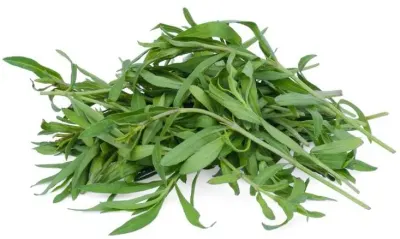 Raw Herbs & Spices by Shree Organic Foods