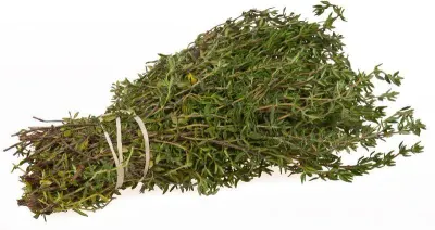 Medicinal And Aromatic Herbs by Kehru Mal Agya Ram