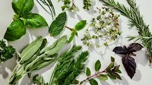 Lemon Basil by Shripathi Organics And Food Pvt. Ltd.