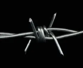 Black iron wire by Shenzhou City Hongli Metal Products Factory