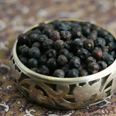 Goji Berry by Alpha Medent