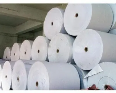Pond Lining Fabric Rolls by Sunita Plastic Industries