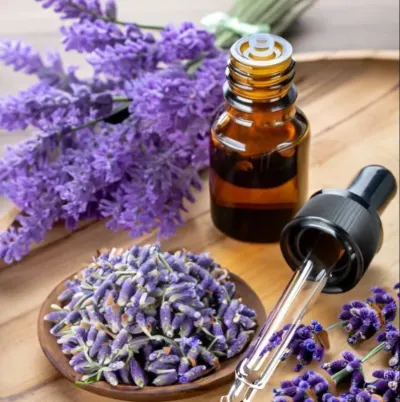 LAVANDER OIL & LAVANDER by ZE IMPORT EXPORT Company