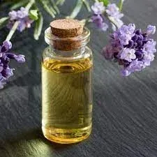 Lavender Oil by Shiv Organics