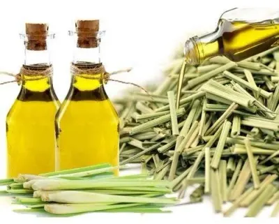 Lemongrass Oil by Giva Agro