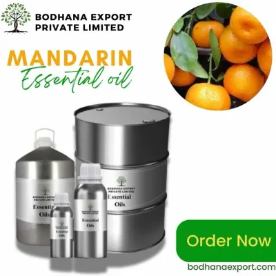 fresh mandarin by Greenpoint