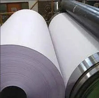 Maplitho Paper by Kanishka Exim