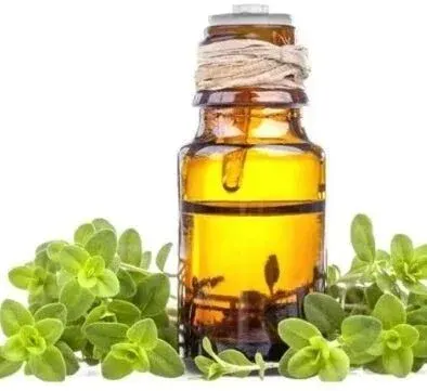 Marjoram by Al Hamzawy Import & Export Company