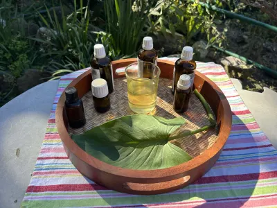 Body Massage Oil - Blooms Relaxing - Olive Oil by The Tropical Spa