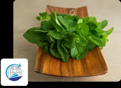 Dried Mint Leaves by Omkar Food & Beverages