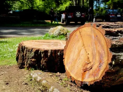 Oak Wood by ANA Company Spolka Z Ograniczona Odpowiedzialnoscia