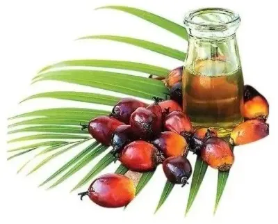 RBD Palm Olein Cooking Oil by Kovacic Helga