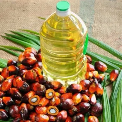 Soybean Oil by Agrarian Center