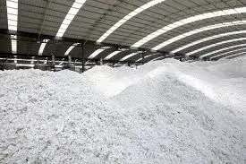 Recycle Pulp by Chitraka International Corporation