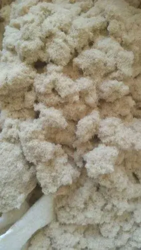 Treated And Untreated Fluff Wood Pulp by Quanzhou Loeon Trading Co., Ltd.