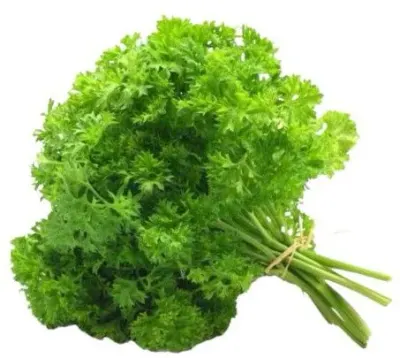 Parsley by Mondial Logistics Shipping Agency