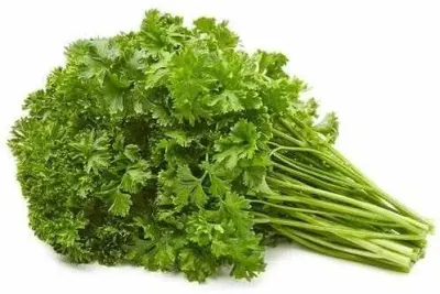 Parsley by Herbs Maker Co. For Imp. & Exp.