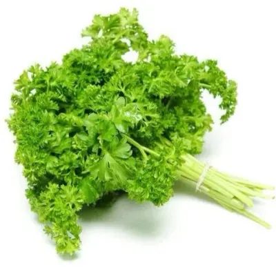 Parsley by Sayed Saber