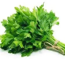 Parsley by Elmotmiz herbs Co.