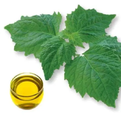 Rice Bran Acid Oil by R S BROTHERS LLC