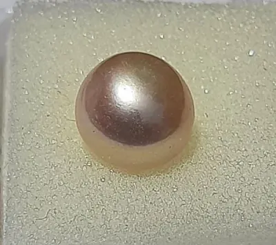 Golden Tapioca Pearl by Zhejiang Boduo Investment Management Co., Ltd.