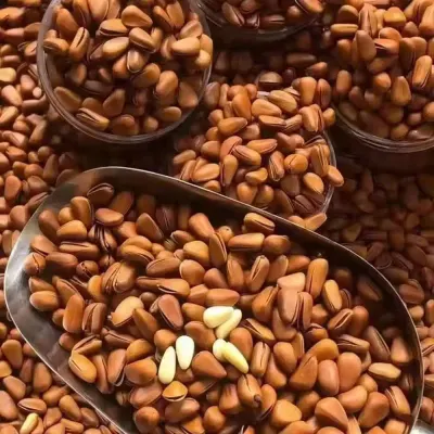 Pine nuts by Kovacic Helga