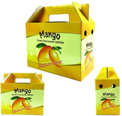 Printed Corrugated Boxes by Shri Parashar Enterprises
