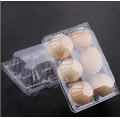 Quail Bird Eggs by Shady And Sonz Automobile Pty Ltd