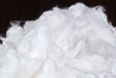 Coir Fiber by Bristl Exports