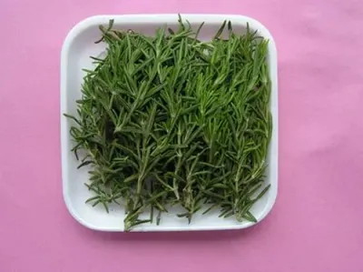 Rosemary by Sphinx Herbs Export Co.