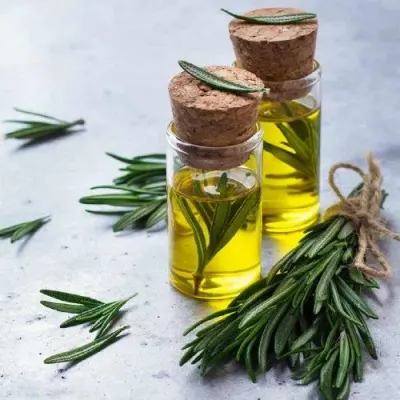 Rosemary Oil by VDEP Global Trade