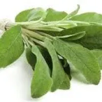 Sage by Trust Herbal