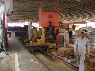 Infrared Bridge Saw by Xinda Machinery Co., Ltd