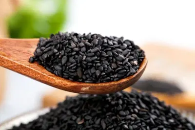 Sesame Seed by Shubhlaxmi Industries