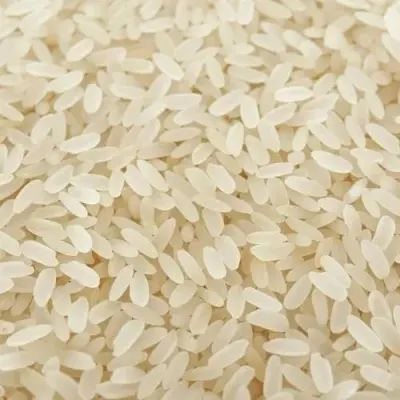 Pesticide Residue Free Raw Rice by Indian Cereals, Herbs & Spices Exports