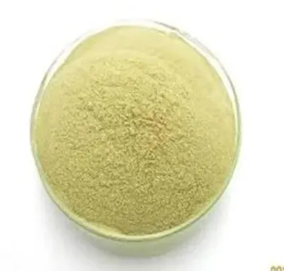 Sodium Alginate by SBH Foods Pvt. Ltd.