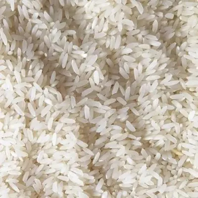 Sona Masoori Rice by J K International