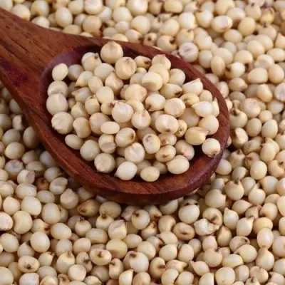 Ugandan White Sorghum by QZTEQ