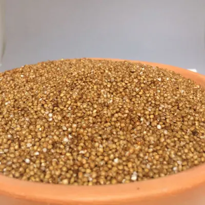 Jowar (Sorghum) Flour by Planetary Merchant