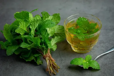 Spearmint oil by M.S. International