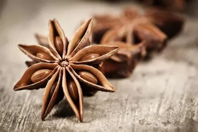 Star Anise Tea BagCut by COMINTRADE SRL