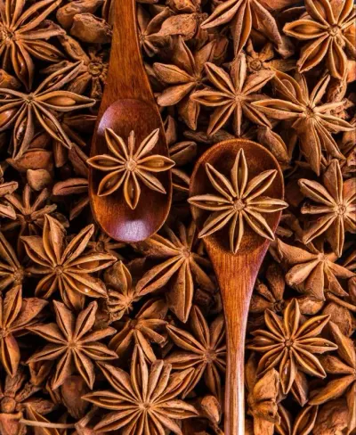 Broken Star Anise by Hang Xanh Company Limited