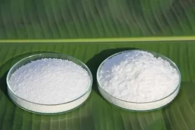 Stearic Acid by Aurora Industry Co., Ltd.