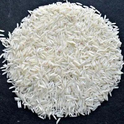 OM 545l Rice by Igwt Globa