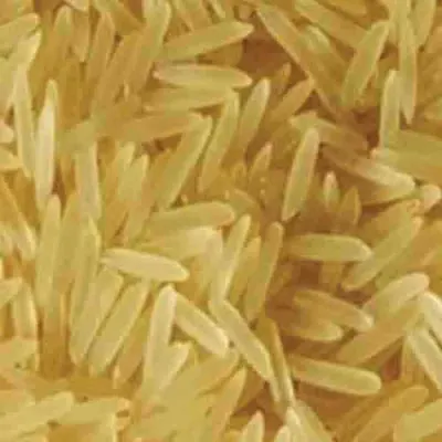 Pusa 1401 Steam Basmati Rice by Pixon Overseas