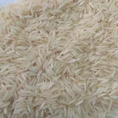 PR 11 RICE by Sega World Private Limited